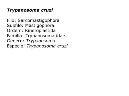 Trypanosoma cruzi Filo: Sarcomastigophora Subfilo: Mastigophora