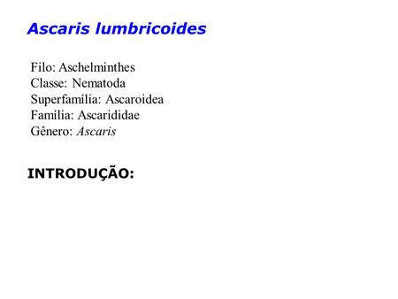 Ascaris lumbricoides Filo: Aschelminthes Classe: Nematoda