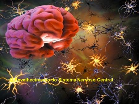 O Envelhecimento do Sistema Nervoso Central