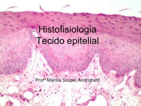 Histofisiologia Tecido epitelial