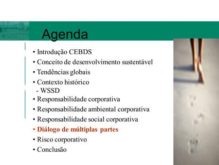 Agenda Introdução CEBDS Conceito de desenvolvimento sustentável