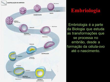 Embriologia   Embriologia é a parte da Biologia que estuda as transformações que se processa no embrião, desde a formação da célula-ovo até o nascimento.