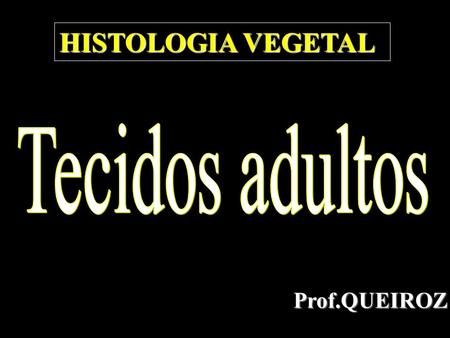 HISTOLOGIA VEGETAL Tecidos adultos Prof.QUEIROZ.