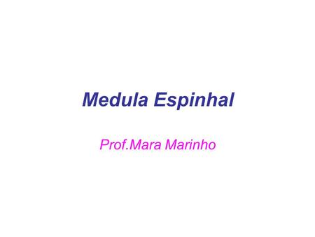 Medula Espinhal Prof.Mara Marinho.