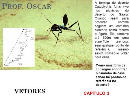 Prof. Oscar VETORES CAPITULO 3