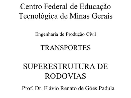 Prof. Dr. Flávio Renato de Góes Padula