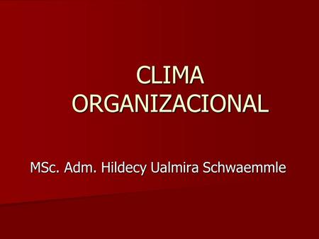 MSc. Adm. Hildecy Ualmira Schwaemmle