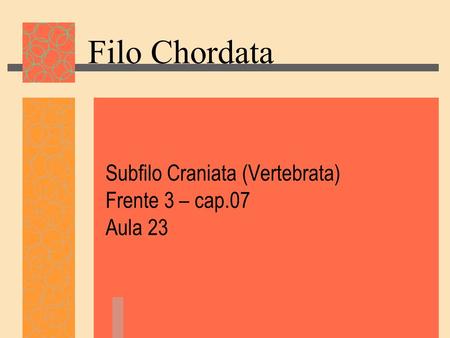 Subfilo Craniata (Vertebrata) Frente 3 – cap.07 Aula 23