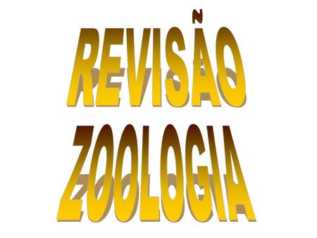 REVISÃO ZOOLOGIA.