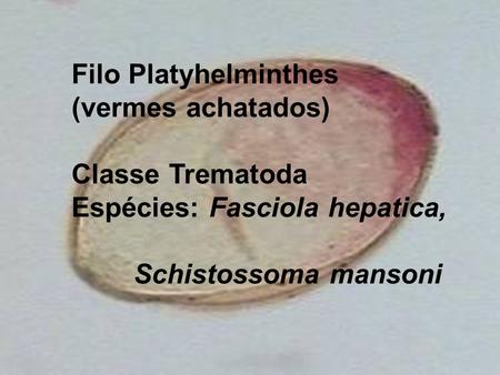 Filo Platyhelminthes (vermes achatados) Classe Trematoda Espécies: Fasciola hepatica, Schistossoma mansoni.