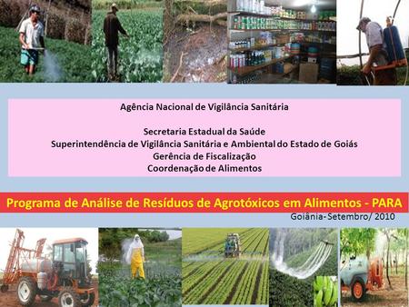 Programa de Análise de Resíduos de Agrotóxicos em Alimentos - PARA