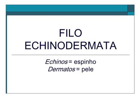 Echinos = espinho Dermatos = pele