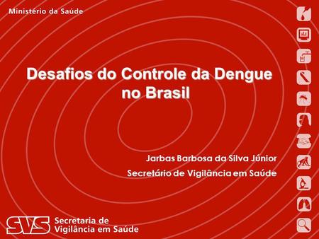 Desafios do Controle da Dengue no Brasil