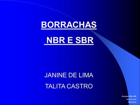 BORRACHAS NBR E SBR JANINE DE LIMA TALITA CASTRO.