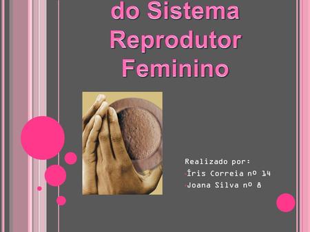 Morfofisiologia do Sistema Reprodutor Feminino