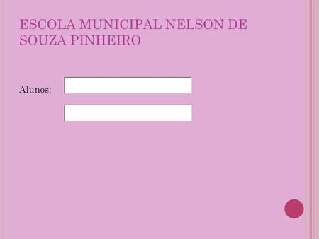 ESCOLA MUNICIPAL NELSON DE SOUZA PINHEIRO