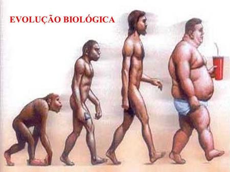 EVOLUÇÃO BIOLÓGICA.