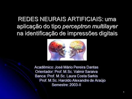 REDES NEURAIS ARTIFICIAIS: uma aplicação do tipo perceptron multilayer na identificação de impressões digitais Acadêmico: José Mário Pereira Dantas Orientador: