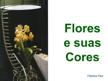Flores e suas Cores Fabiana Pais.