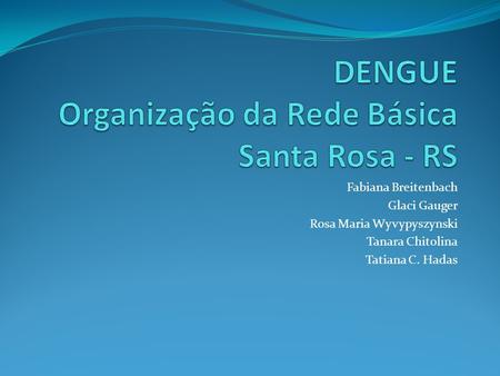 DENGUE Organização da Rede Básica Santa Rosa - RS