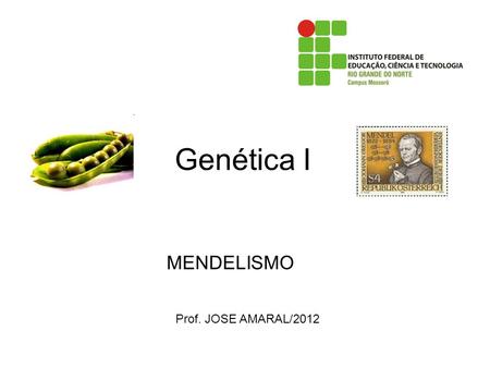 Genética I MENDELISMO Prof. JOSE AMARAL/2012.