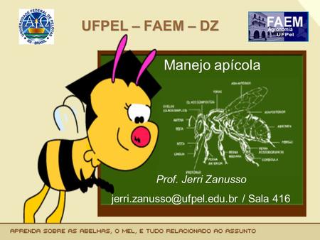 Jerri.zanusso@ufpel.edu.br / Sala 416 UFPEL – FAEM – DZ Manejo apícola Prof. Jerri Zanusso jerri.zanusso@ufpel.edu.br / Sala 416.