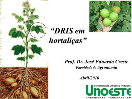 Prof. Dr. José Eduardo Creste Faculdade de Agronomia