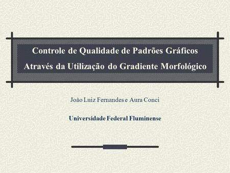 João Luiz Fernandes e Aura Conci Universidade Federal Fluminense