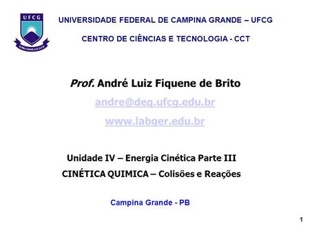 Prof. André Luiz Fiquene de Brito