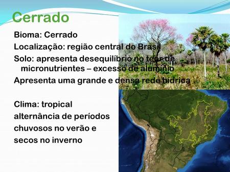Cerrado Bioma: Cerrado Localização: região central do Brasil