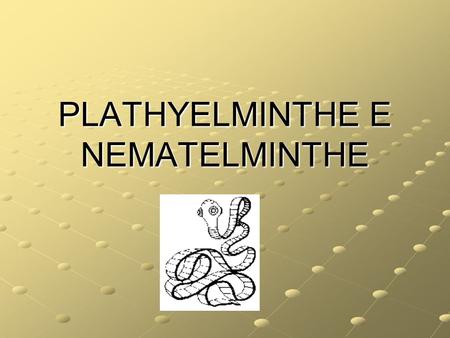 PLATHYELMINTHE E NEMATELMINTHE