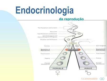 Endocrinologia da reprodução.