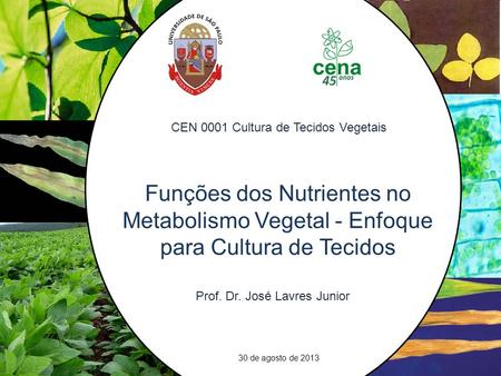 21 Freeways in the plant: transporters for N, P and S and their regulation CEN 0001 Cultura de Tecidos Vegetais Funções dos Nutrientes no Metabolismo Vegetal.