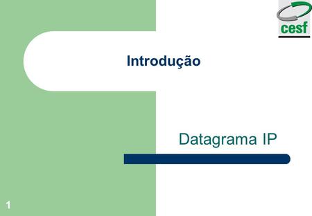 Introdução Datagrama IP.