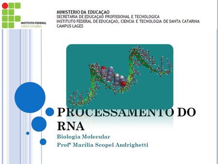 PROCESSAMENTO DO RNA Biologia Molecular