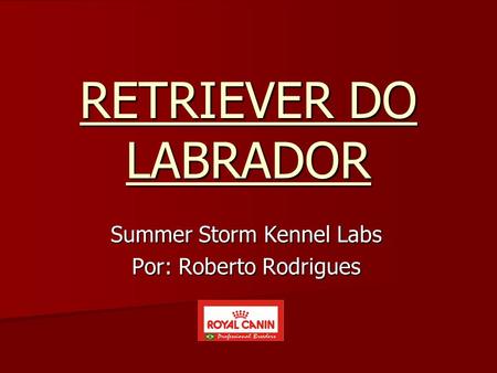 Summer Storm Kennel Labs Por: Roberto Rodrigues