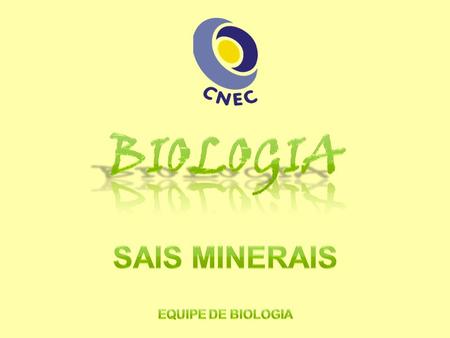 Biologia Sais Minerais Equipe de biologia.