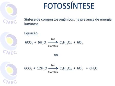 FOTOSSÍNTESE Síntese de compostos orgânicos, na presença de energia luminosa Equação 6CO2 + 6H2O 	 C6H12O6 + 6O2 ou 6CO2 + 12H2O 	 C6H12O6 +