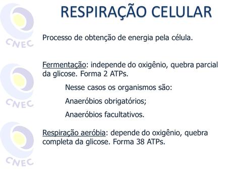 RESPIRAÇÃO CELULAR Processo de obtenção de energia pela célula.