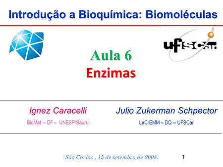 Introdução a Bioquímica: Biomoléculas