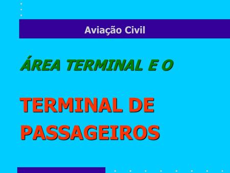 Aviação Civil ÁREA TERMINAL E O TERMINAL DE PASSAGEIROS.