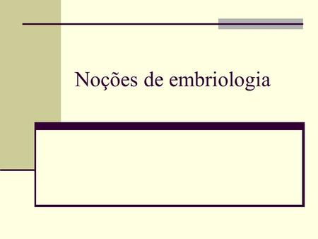 Noções de embriologia.