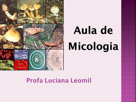 Aula de Micologia Profa Luciana Leomil.