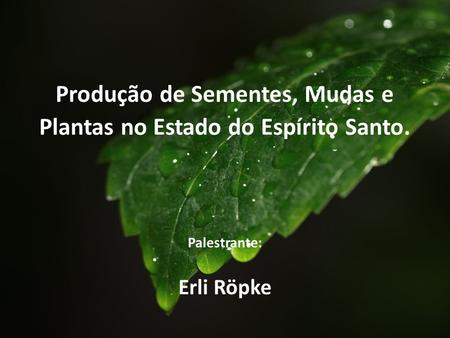 Produção de Sementes, Mudas e Plantas no Estado do Espírito Santo.