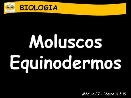 Moluscos Equinodermos