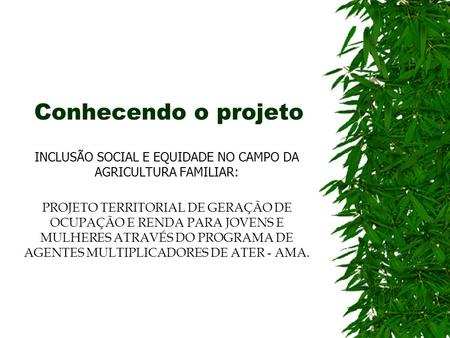 INCLUSÃO SOCIAL E EQUIDADE NO CAMPO DA AGRICULTURA FAMILIAR: