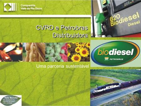 CVRD e Petrobras Distribuidora