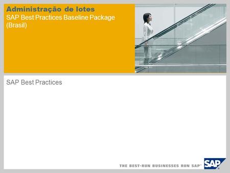 Administração de lotes SAP Best Practices Baseline Package (Brasil)