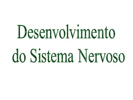 Desenvolvimento do Sistema Nervoso.