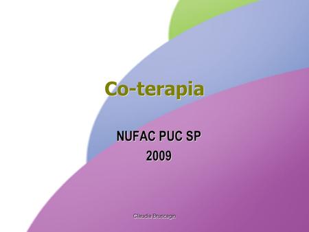 Co-terapia NUFAC PUC SP 2009 Claudia Bruscagin.